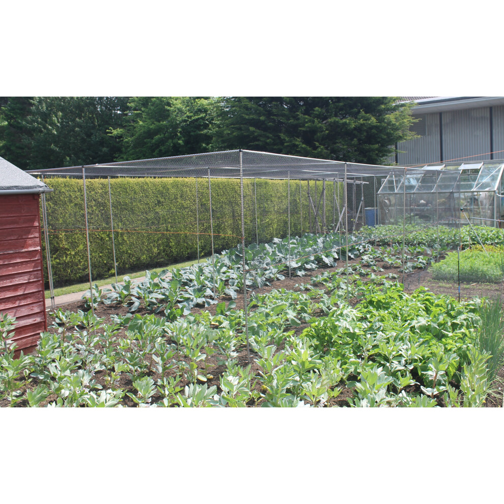 (Large Cage H2 x W3.708m x L4m Black Soft Butterfly Netting) Fruit & Veg Cages Walk In With Door Choose Netting