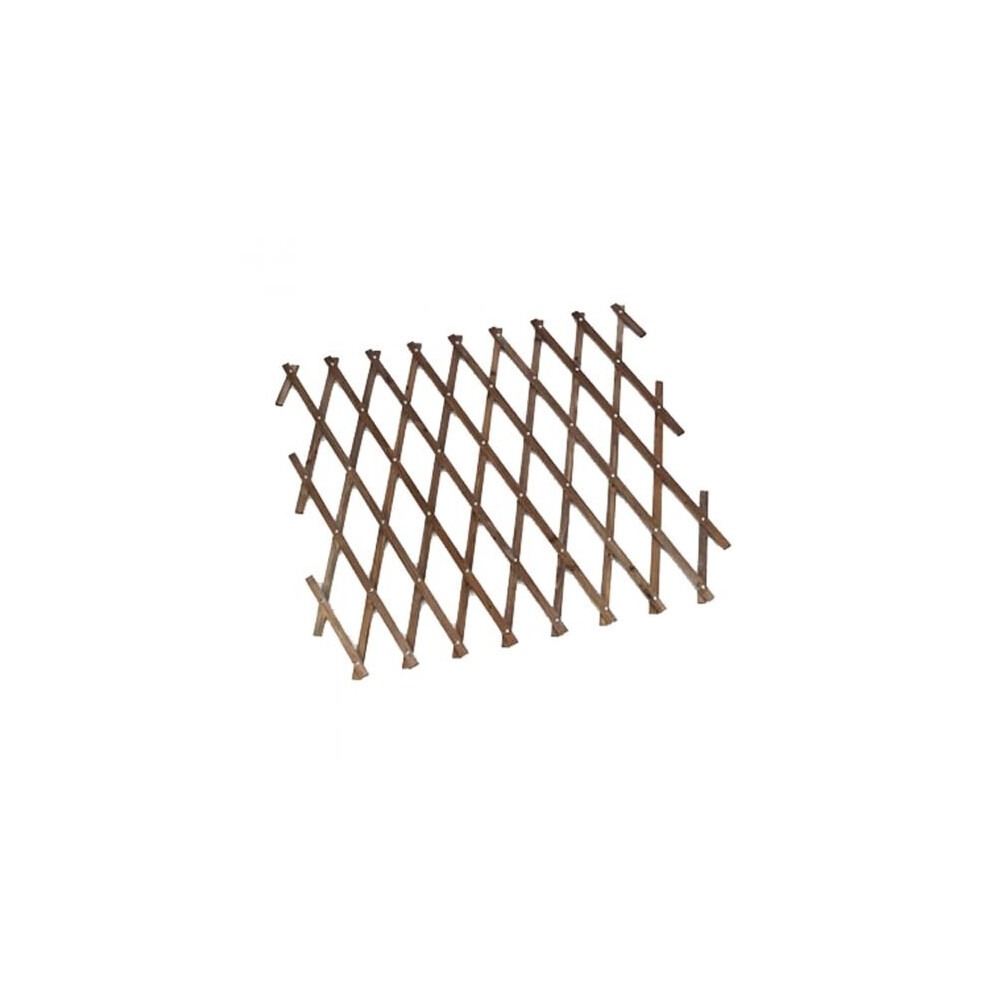 Gardening Naturally (1.8M X 0.9M) Heavy Duty Expanding Trellis