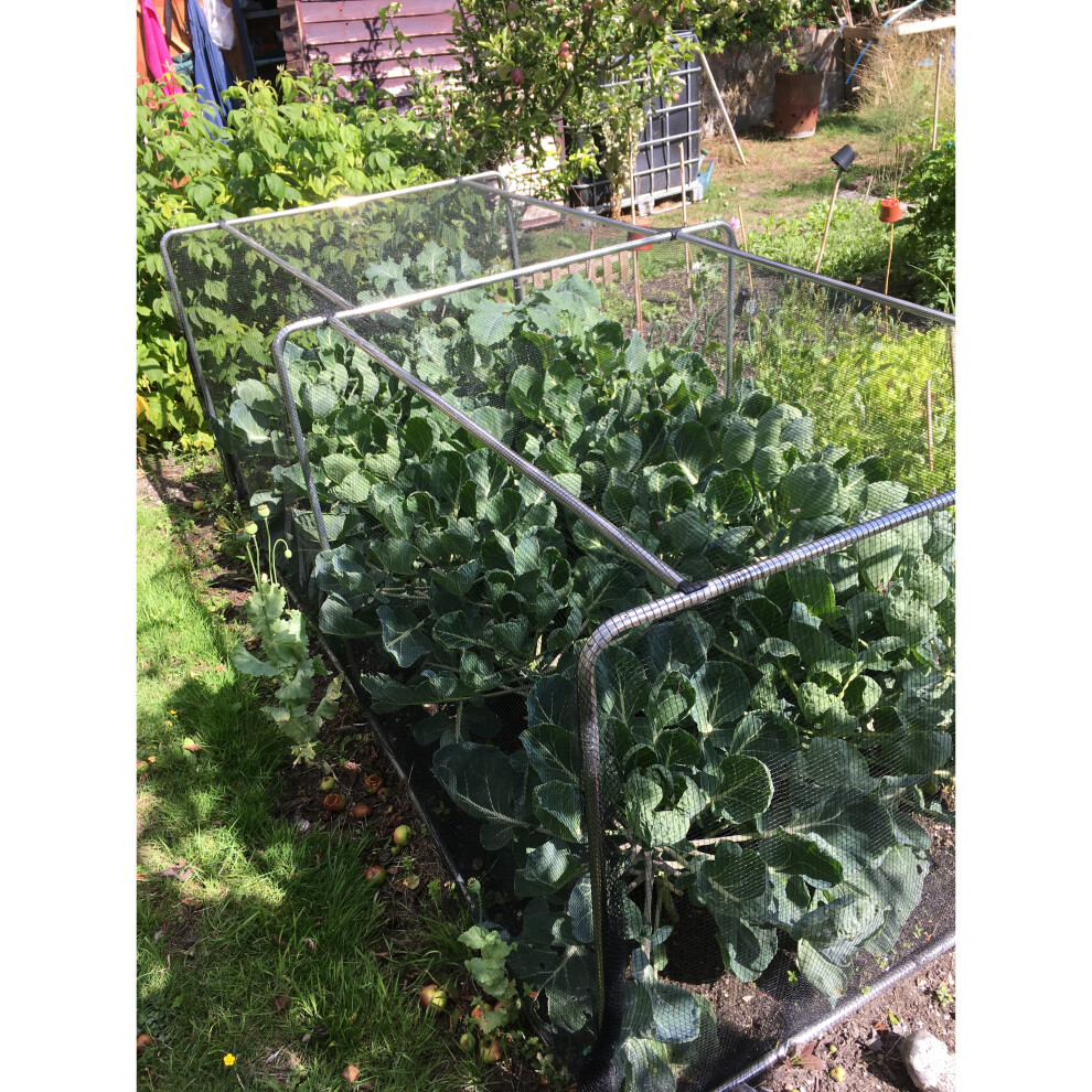 (2.4m - Green Soft Butterfly Netting) Low Portable Square Hoop Aluminium Cloche / Tunnel Kit-image-OPC-P8P2BWP-NEW