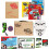 Spy Ninjas Project Zorgo Infiltration Mission Kit 2