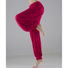 (Wine, S) Womens Harem Aladdin Pants Causal Baggy Gypsy Loose Dance Yoga Genie Trousers