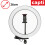 26cm Content Creator LED Ring Light With Stand and Phone Holder 5
