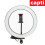 26cm Content Creator LED Ring Light With Stand and Phone Holder 4