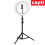 26cm Content Creator LED Ring Light With Stand and Phone Holder 2
