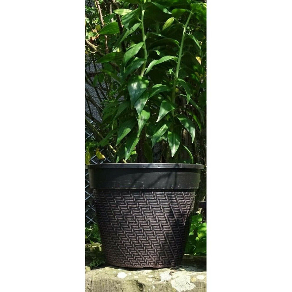 12" Plastic Rattan Bowl Black Garden Outdoor Planter Plant Flower Pot