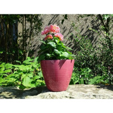 10" Coral Pink Savannah Planter Bowl Garden Outdoor Planter Plant Flower Pot