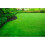 Johnsons Tuff Grass Grass Lawn Seed Hardwearing Dog Patch Resistance 2