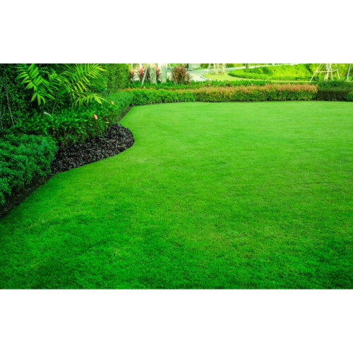 Johnsons Tuff Grass Grass Lawn Seed Hardwearing Dog Patch Resistance 1