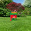 Miracle-Gro Miracle-Gro EverGreen Fast Growth Grass Thick Lawn Seed Friendly 480g 2