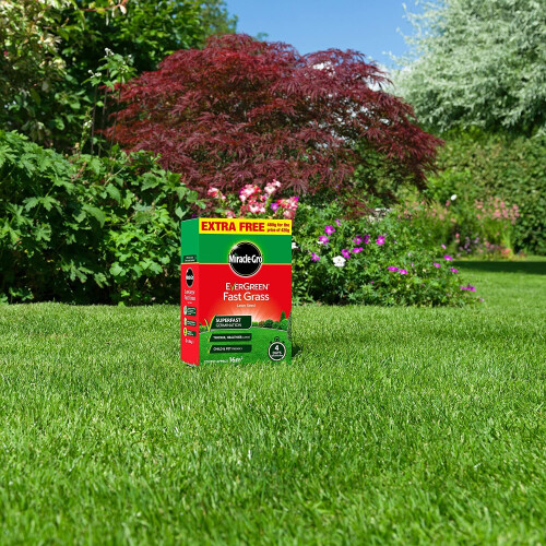Miracle-Gro Miracle-Gro EverGreen Fast Growth Grass Thick Lawn Seed Friendly 480g 1
