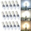 Ranpo (Cool White ) 15pcs G12 LED Corn Bulb 15W Equival 150W Halogen 1
