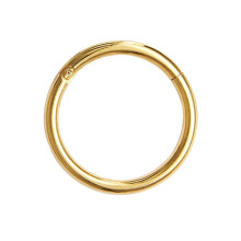 (Gold-Thickness1.2mm, Diameter 
-8mm) Steel Nose Ring Septum Clicker Hinge Segment For Ear Helix Tragus Ring Hoop