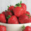 Gardeners Dream (5) Strawberry 'Marshmello' Fast Growing Bare Root Garden Bush Fruit Plants 2
