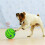 Wobble Wag Giggle Ball Παιχνίδι εκπαίδευσης κατοικίδιων ζώων με αστείο ήχο 4
