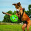 Wobble Wag Giggle Ball Dog Play Training Pet Toy With Funny Sound 10