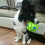 Wobble Wag Giggle Ball Παιχνίδι εκπαίδευσης κατοικίδιων ζώων με αστείο ήχο 6