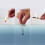 matches storm test wood natural/brown 25 pieces 2
