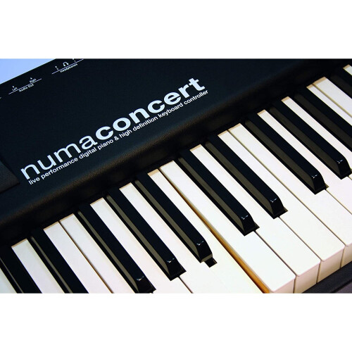Studiologic Numa Concert Professional 88-Note Stage Piano 2