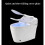 TruClean Elegance Smart Toilet 19