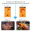BBQ Thermometer Portable Wireless Bluetooth Kitchen Grill Food Oven 6