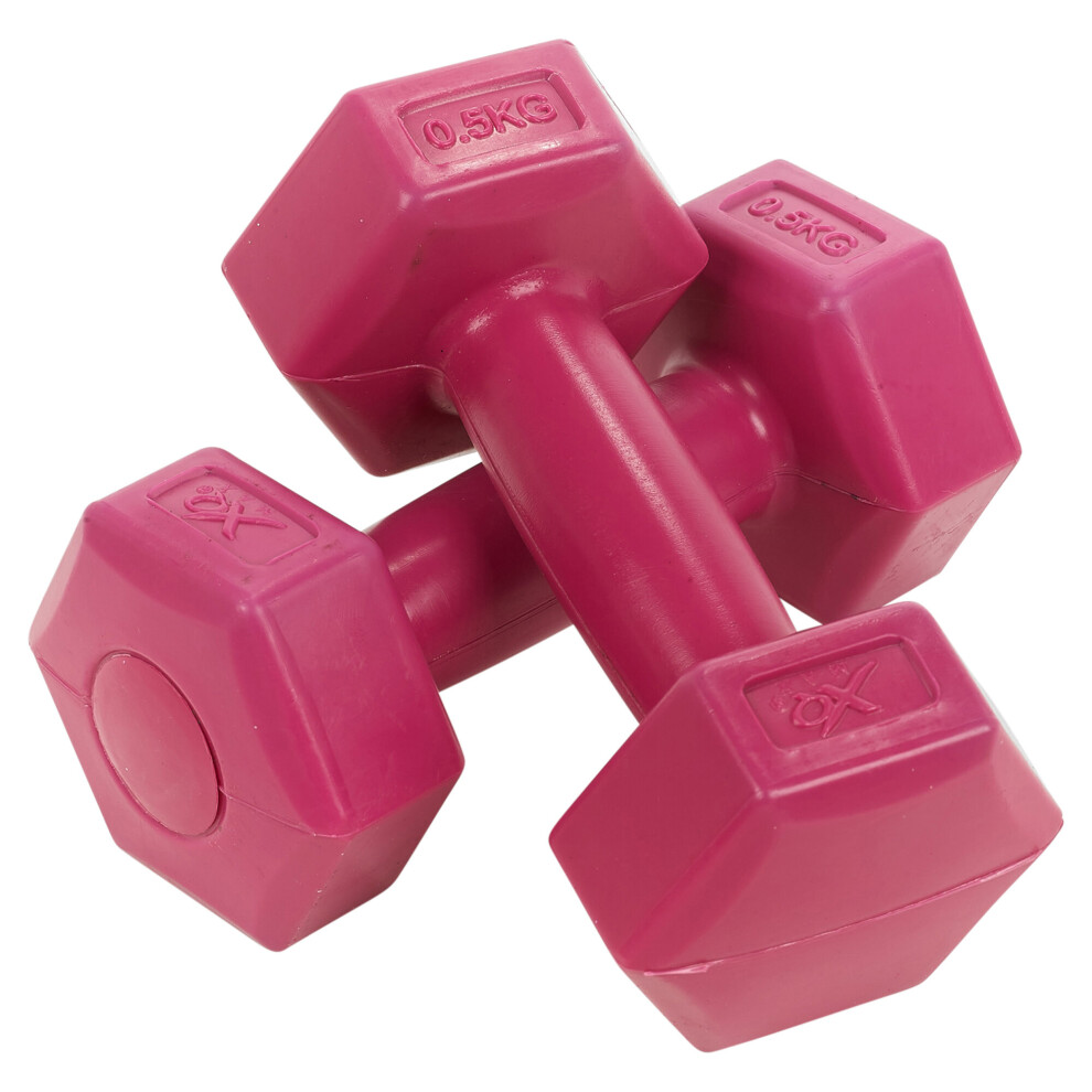 500g Pair of Dumbbell Weights Home Gym Fitness Yoga Barbell Set Aerobic Exercise