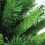 Gymax 7FT Artificial Christmas Tree Green Xmas Decorations w/Foldable  Stand 6