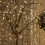 Snow Time (4ft, Warm White) Weeping Willow Tree Warm/Ice LED's In/Outdoor Tree 2