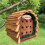 Selections Wooden Hanging Ladybird House 3