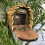 Selections Wooden Wildlife Squirrel Feeder House 5