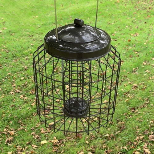 Selections Heavy Duty Squirrel Proof Hanging Bird Suet Fat Ball Feeder 1