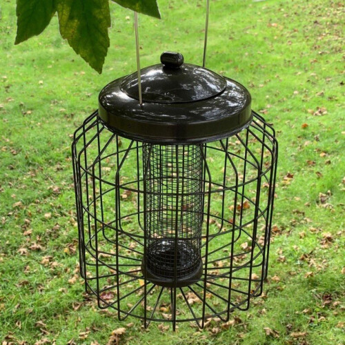 Selections Heavy Duty Squirrel Proof Hanging Bird Nut Feeder 1