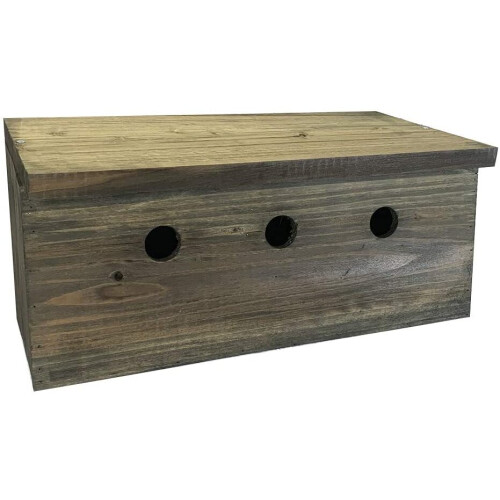 Selections Sparrow Colony Terrace Wooden Nesting Box