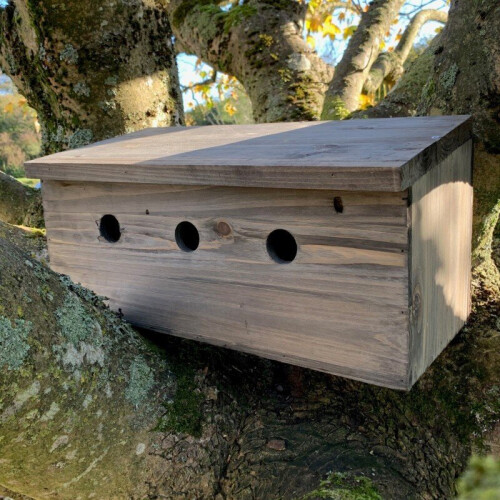 Selections Sparrow Colony Terrace Wooden Nesting Box 1