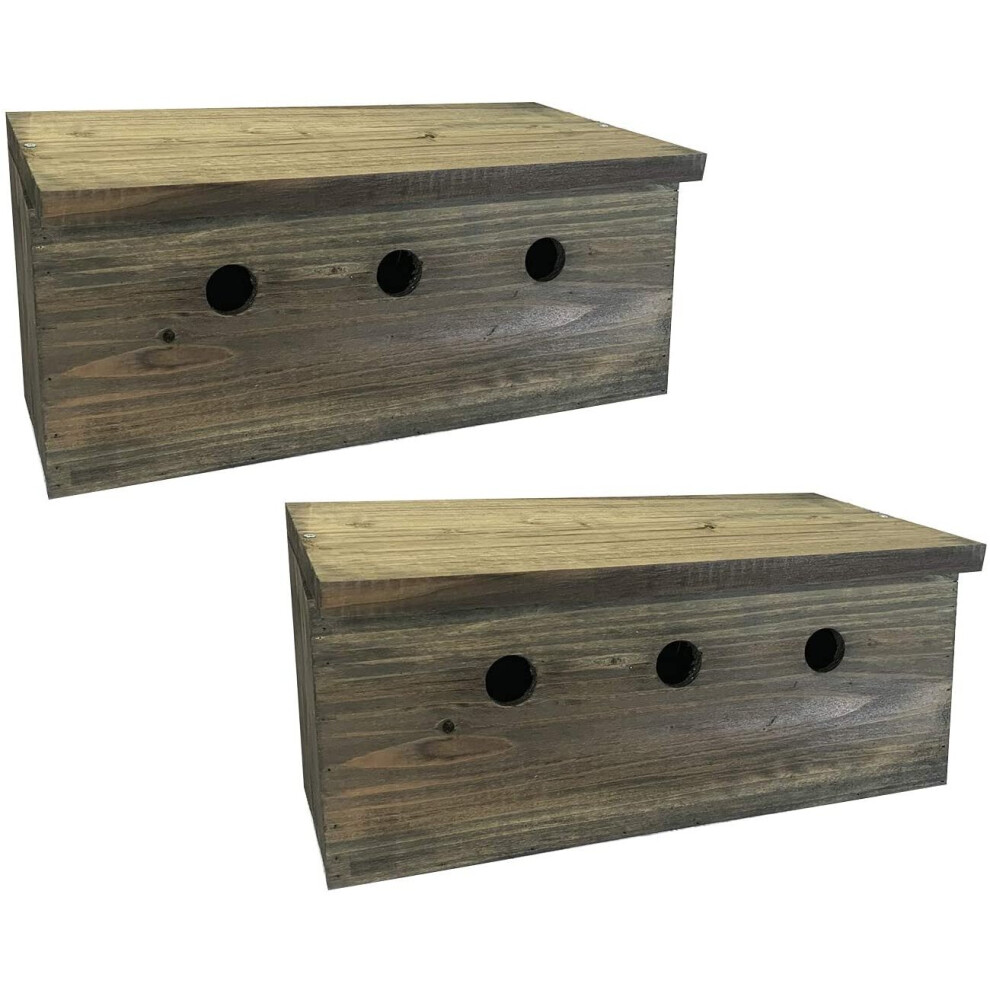 Sparrow Colony Terrace Wooden Nesting Boxes (Set of 2)