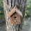 Selections Rustic Barkwood Birdhouse Nest Box 5