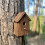 Selections Rustic Barkwood Birdhouse Nest Box 3