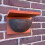 Selections House Martin Bird Nest Box Half Cup 5