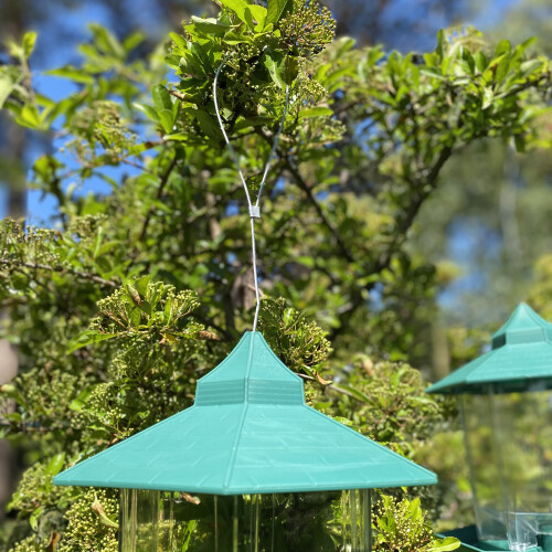 Durlston Green Chalet Bird Seed & Nut Feeders Set 2