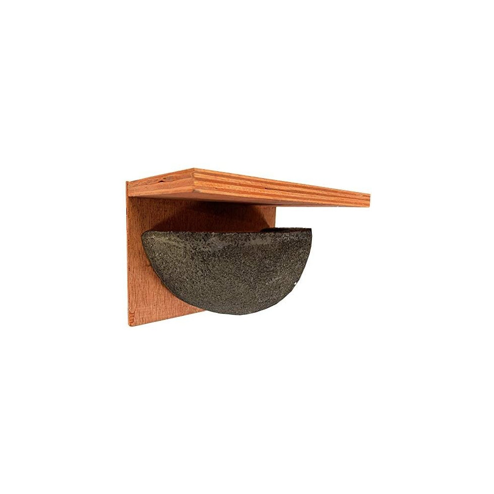 House Martin Bird Nest Box