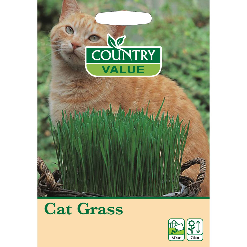 Cat Grass Seeds To NATURALLY Improve Your Cats Health by Country Value