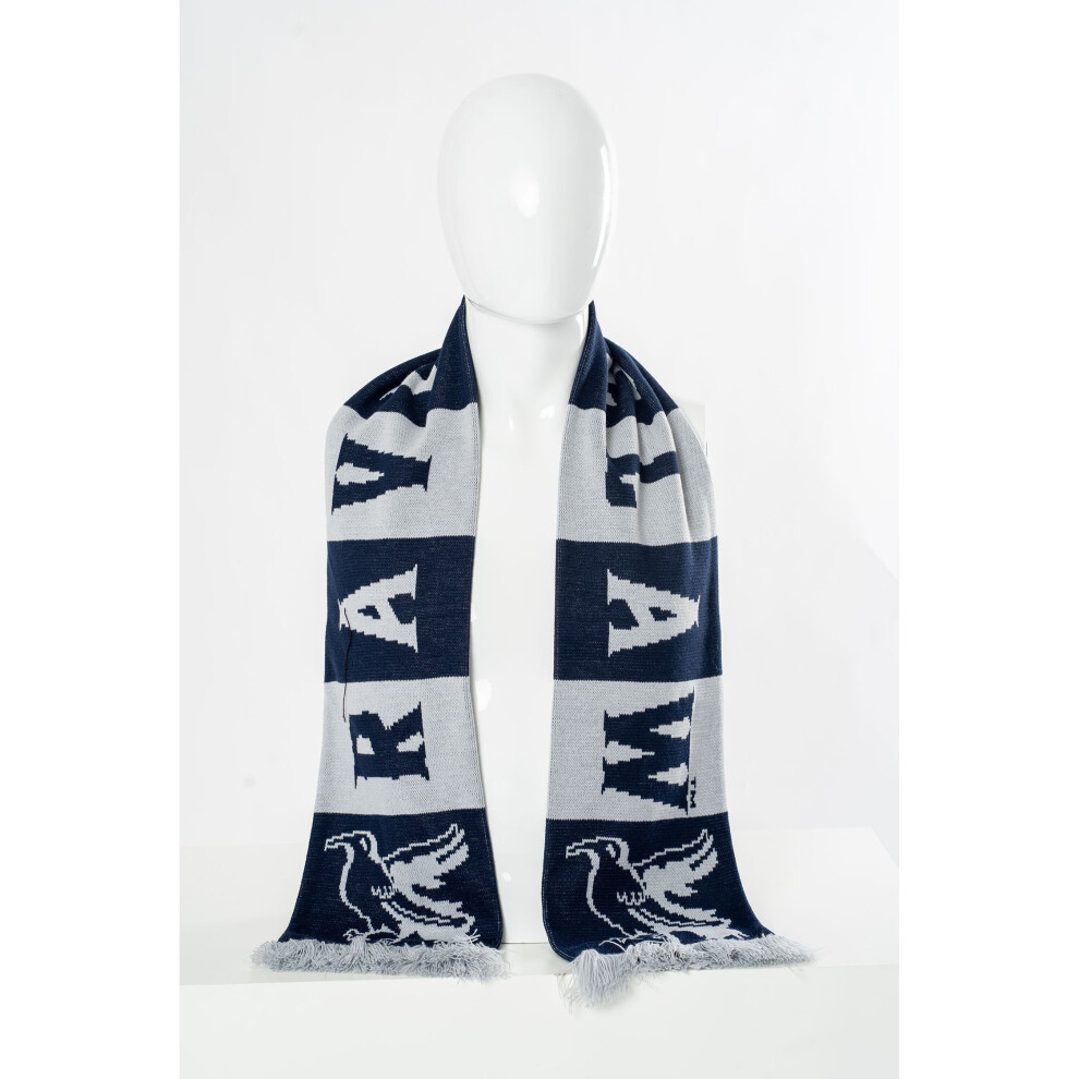 Harry Potter Ravenclaw Scarf One Size