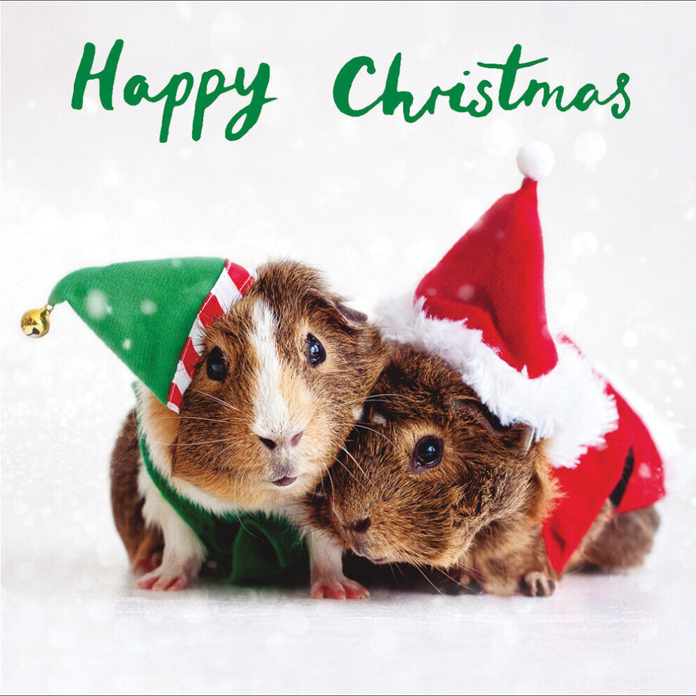 Woodmansterne Pack Of 5 Christmas Joy Charity Christmas Cards Supporting Multiple Charities