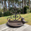 Selections Conwy Cast Iron Wall Mounted Bird Feeder 2