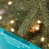 Dellonda Pre-Lit 7ft Hinged Christmas Tree with Warm White LED Lights & PE/PVC Tips - DH82 4