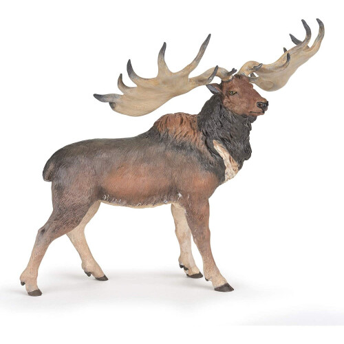 Megalocero