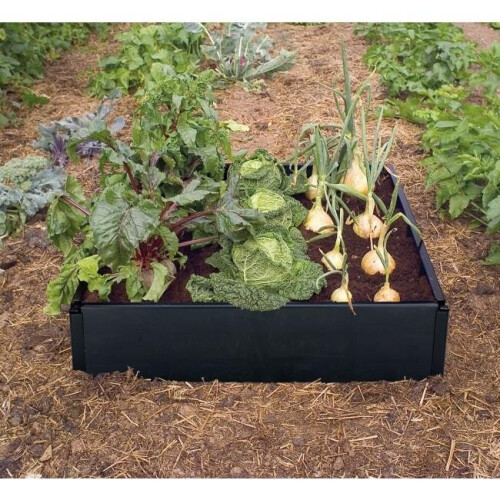 Growing Rasied Bed