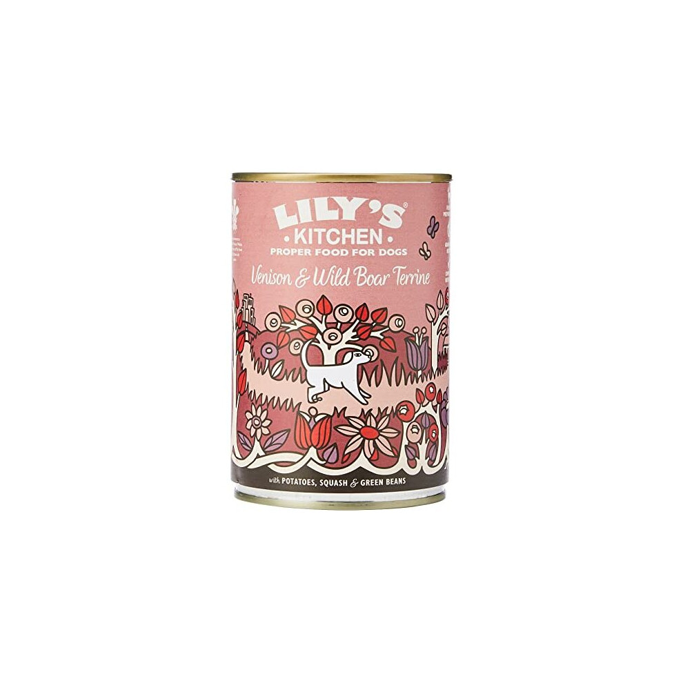 Lily's Kitchen Adult Venison & Wild Boar Terrine Wet Dog Food (6 x 400 g)