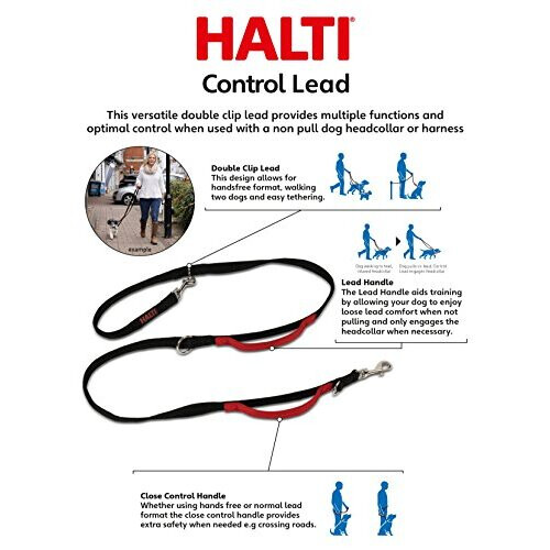 HALTI Control Lead, Black, Large 1