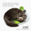 Catit Catit Senses Wellness Centre 3