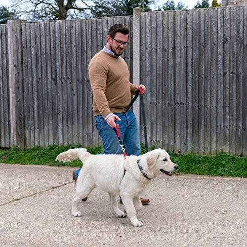HALTI Control Lead, Black, Large 2